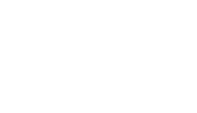 ビジネススピード感